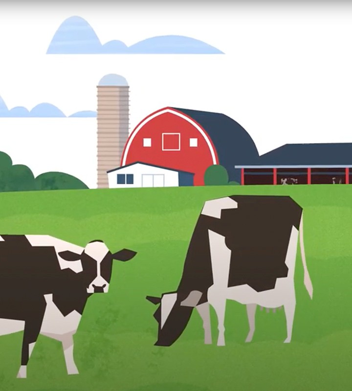 ada-dairyvideothumbnail-720x800