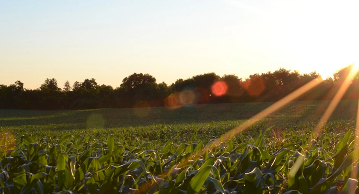 5_ways_for_farmers_to_engage_with_consumers_virtually_this_back-to-school_season-hero
