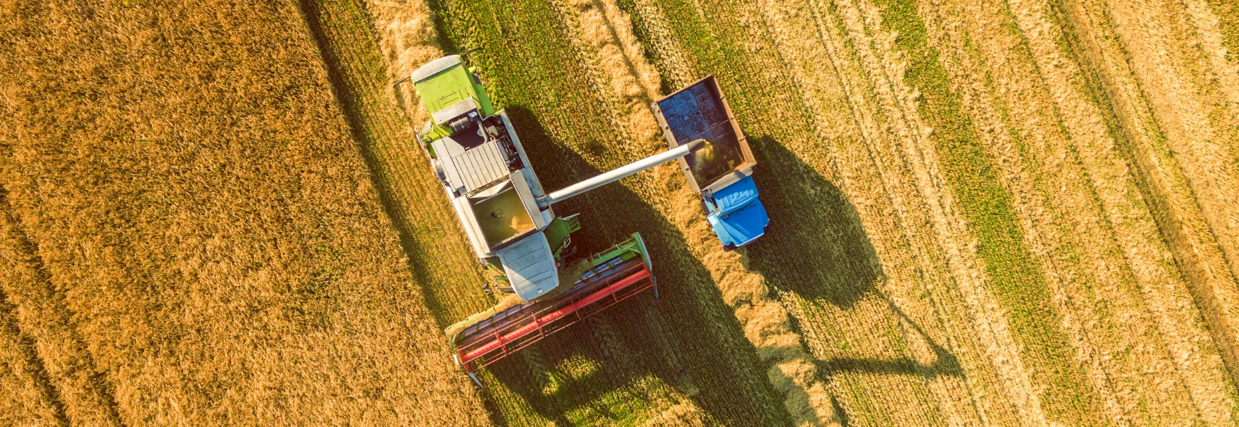 food-ag_header_1738x600.png