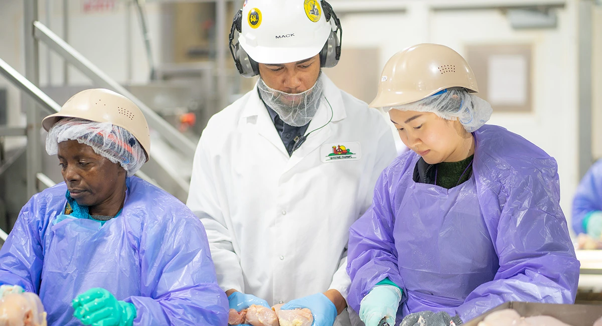 slideshow-1200x66_50-2