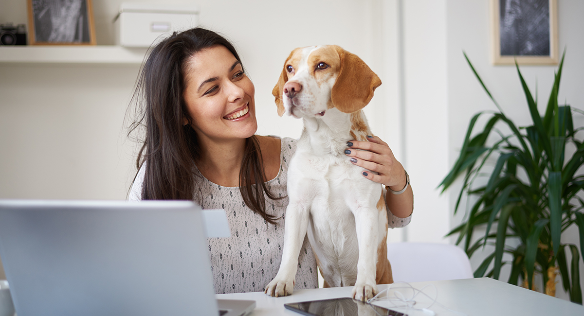 bds-slideshow-1200x650