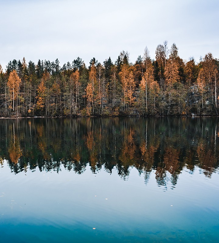 oaqda-thumbnail-720x800