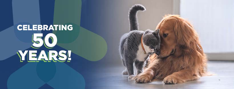 pan-fbheader-50years_1