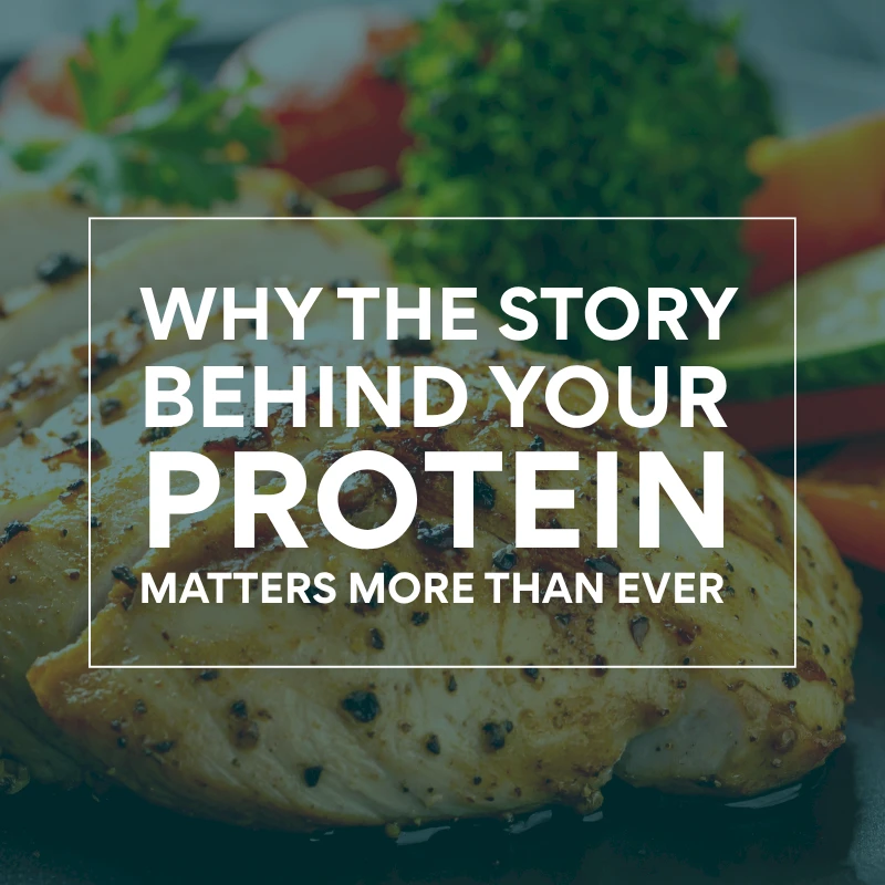 inspire-meg-protein-story-blog-gfx-thumbnail
